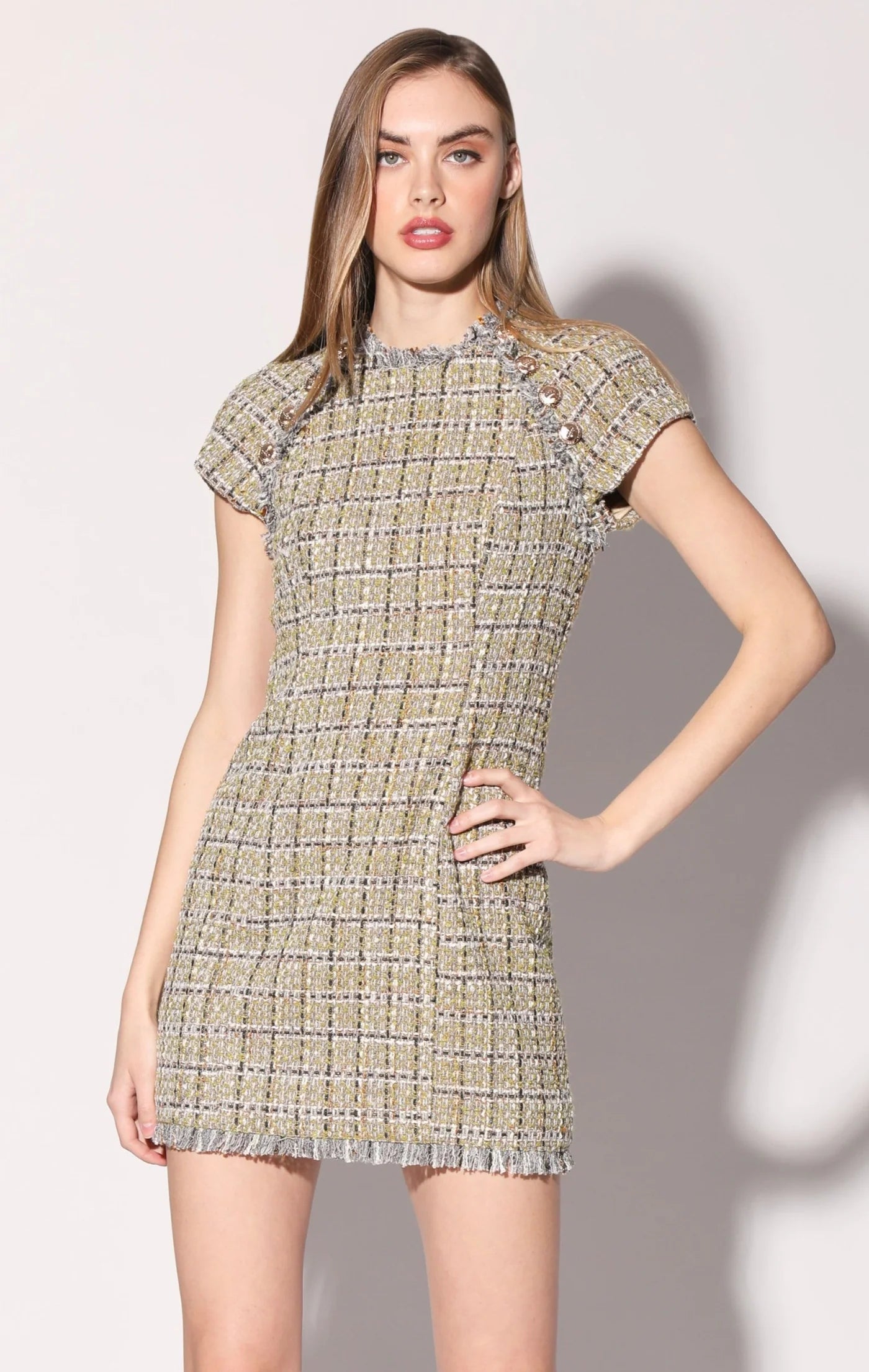 Walter Baker Dress online